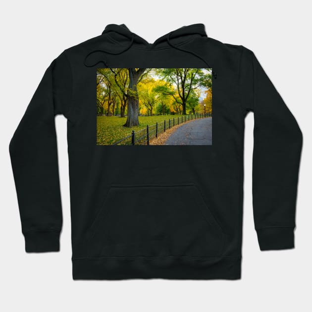 Fall Path in the Park Hoodie by andykazie